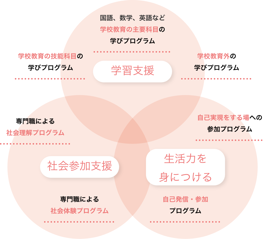 学習支援：国語、数学、英語など学校教育の主要科目の学びプログラム　学校教育の技能科目の学びプログラム　学校教育外の学びプログラム　　社会参加支援：専門職による社会理解プログラム　専門職による社会体験プログラム　　生活力を身につける：自己実現をする場への参加プログラム　自己発信・参加プログラム